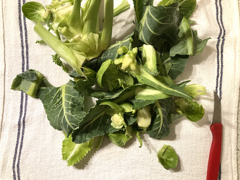 Cosa fare degli scarti di broccolo